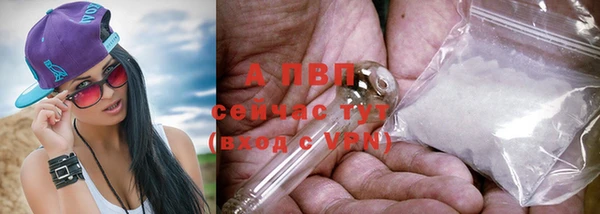 амф Магас