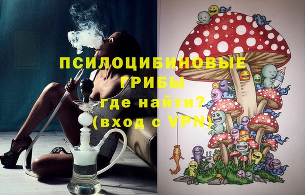 амф Магас