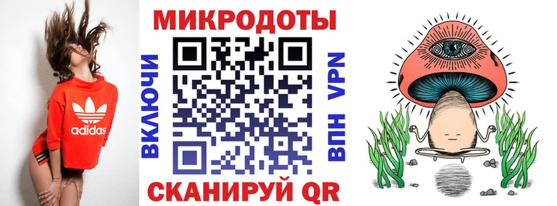 Купить  Кингисепп  Галлюциногенные грибы MAGIC MUSHROOMS 